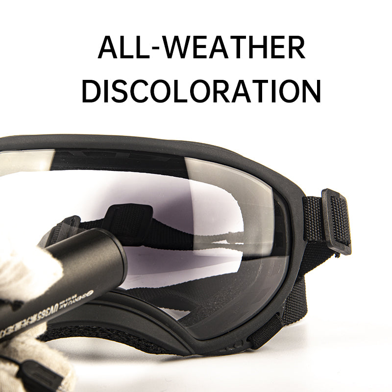 Dog Goggles-Black-Large